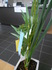 DSCN0044.JPG